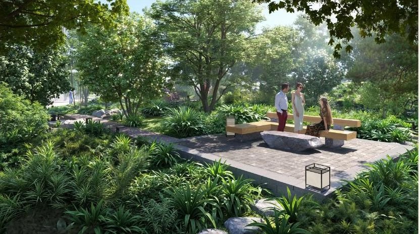 Resting deck in the Deep Forest