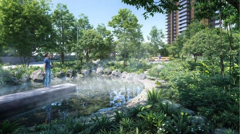 Pond in the Deep Forest